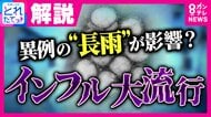 【専門医解説】「改めて“三密”避けて！」なぜ今？インフルエンザが異例の早期流行　関西より関東で流行…異例の長雨が影響か　 A型の次はB型“第2波”も…ワクチンは「いま」接種すべき　関東で学級閉鎖続出