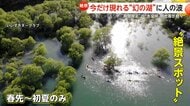 白川湖に“期間限定”「水没林」出現！奇跡の一枚求め観光客殺到　一方、撮影目的で路上駐車の迷惑行為も…山形・飯豊町