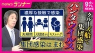 【解説】クルーズ船で”集団感染”のハンタウイルス　専門医が指摘「過度に恐れる必要はない」かつては大阪で「梅田熱」と呼ばれた流行も「衛生状態向上した現在の日本で大規模感染拡大は考えにくい」