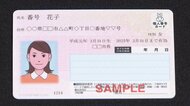 【独自】他人の年金記録が閲覧可能に　マイナンバーカードで新たな問題発覚