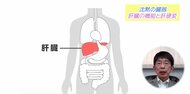 肥満や酒による肝臓がんが増加中　病気の初期症状が全くない “沈黙の臓器”について専門医が解説