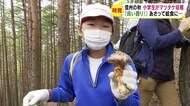 信州の秋 小学生がマツタケの収穫体験 「良い香り」「高級だから緊張した…」 あさって24日、給食に
