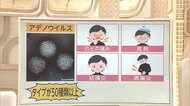3分でわかるキーワード 海老蔵さんも...アデノウイルス