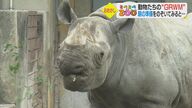 サイはかゆいところを…動物たちの「朝の身支度」　オランウータンはおやつ探し”「も【愛媛発】