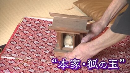「揺れてるで！」霊力が宿る「狐の玉」を徹底調査　80年前に起きた“不思議体験”から現代につながる“信仰”に迫る　