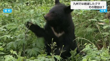 なぜ九州にクマはいない？最後の捕獲は1957年　専門家「落葉樹が少なくクマの好む環境が少ないため」と分析　“関門海峡”を渡る可能性は？