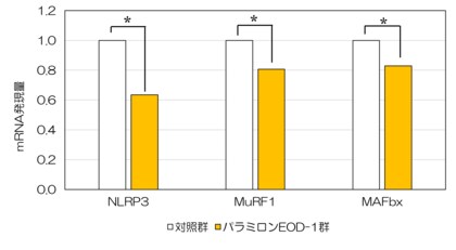 金のユーグレナ(R)(パラミロンEOD-1(R))の摂取が筋肉細胞を太くする~ 筋萎縮に働く遺伝子の発現が抑制される ~