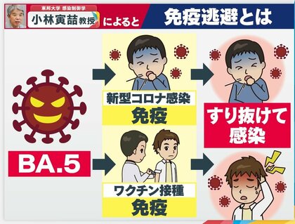 【第7波警戒】「免疫をすり抜ける？」感染力強いといわれる「BA.5」3つの特徴を解説