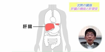 肥満や酒による肝臓がんが増加中　病気の初期症状が全くない “沈黙の臓器”について専門医が解説