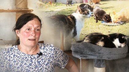 自宅に350匹超の猫　食費は年間2400万円――すべてを手放した女性が、それでも保護を続ける理由　イギリス