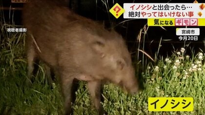 img_e13bca818c5ef9be89ff236110