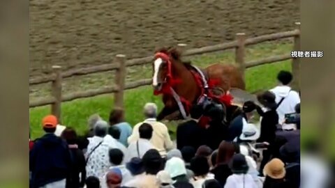 「相馬野馬追」で放馬　スタッフなどに衝突し4人ケガ　逃げた馬は確保　福島