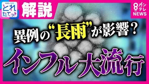 【専門医解説】「改めて“三密”避けて！」なぜ今？インフルエンザが異例の早期流行　関西より関東で流行…異例の長雨が影響か　 A型の次はB型“第2波”も…ワクチンは「いま」接種すべき　関東で学級閉鎖続出