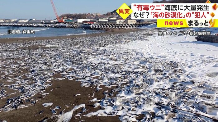 2023年、海の異変が相次いでいる