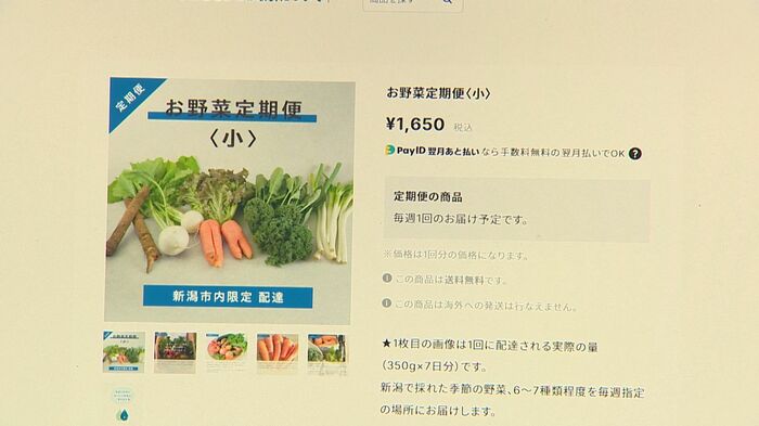 定期便