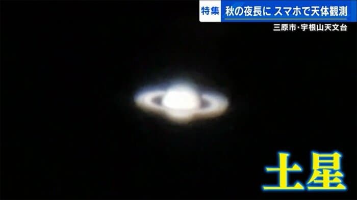 小さいが、はっきりと形がわかる