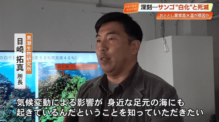「気候変動による影響が身近な足元の海にも起きている」