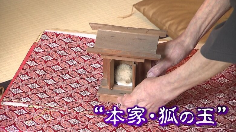 「揺れてるで！」霊力が宿る「狐の玉」を徹底調査　80年前に起きた“不思議体験”から現代につながる“信仰”に迫る　｜FNNプライムオンライン