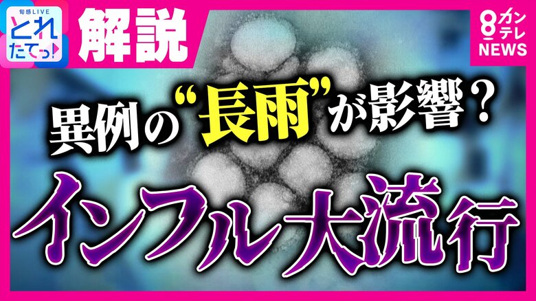 【専門医解説】「改めて“三密”避けて！」なぜ今？インフルエンザが異例の早期流行　関西より関東で流行…異例の長雨が影響か　 A型の次はB型“第2波”も…ワクチンは「いま」接種すべき　関東で学級閉鎖続出｜FNNプライムオンライン
