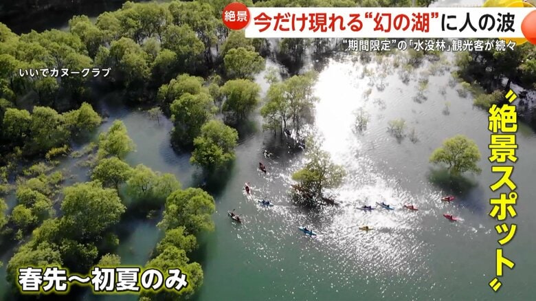 白川湖に“期間限定”「水没林」出現！奇跡の一枚求め観光客殺到　一方、撮影目的で路上駐車の迷惑行為も…山形・飯豊町｜FNNプライムオンライン