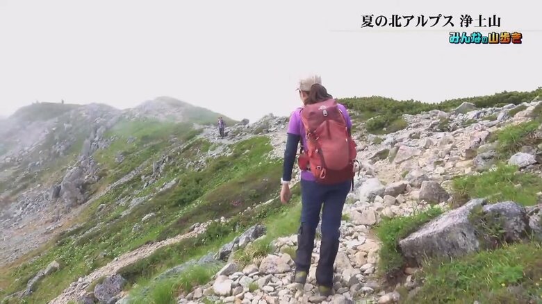 いざ「夏の浄土山」へ！ 標高2831メートルの頂に挑戦…貴重な“ライチョウ親子”との出会いも【富山発】｜FNNプライムオンライン