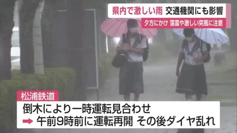 倒木で列車の運転一時見合わせも　激しい雨で交通機関に影響　夕方まで落雷、竜巻などに注意【佐賀県】｜FNNプライムオンライン