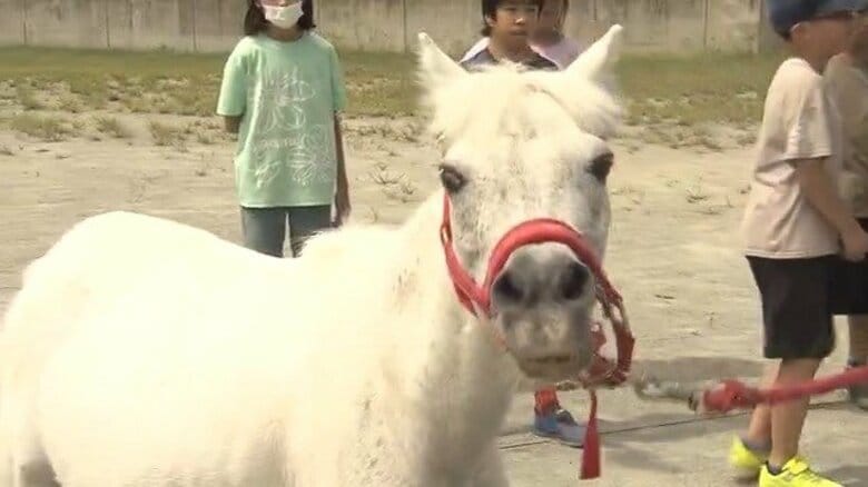 「クリスターを幸せにしたい」牧場に戻ったポニーが再び小学校に　5年生のクラスがお世話「家族みたいに優しく接していきたい」　長野・諏訪市｜FNNプライムオンライン