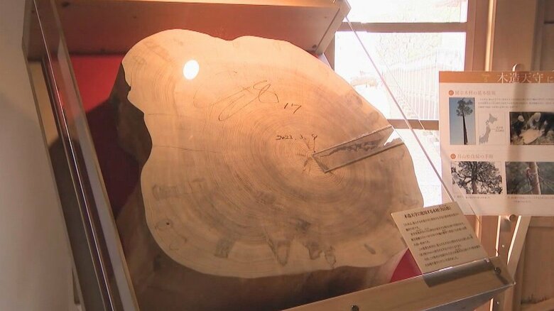 特別展示では連日行列…名古屋城にあった「大谷翔平サイン入り切り株」どうなった 行方を追うと意外な場所に｜FNNプライムオンライン