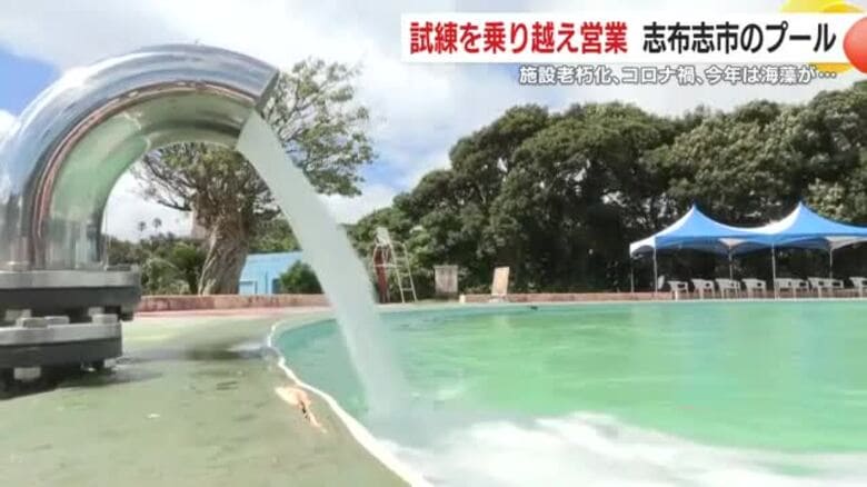 「楽しくて24時間ずっといられます！！」海水プールで笑顔はじける子どもたち　その陰にポンプを詰まらせる海藻と“闘う”男性の頑張りがあった　【鹿児島発】｜FNNプライムオンライン