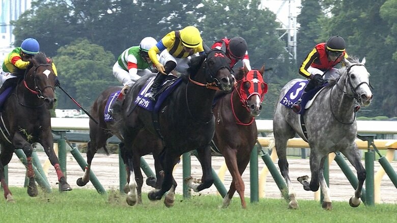 【春のマイル王決定戦 安田記念・G1】　マイル王不在で混戦必至か！？そして波乱を巻き起こす穴馬候補は…｜FNNプライムオンライン
