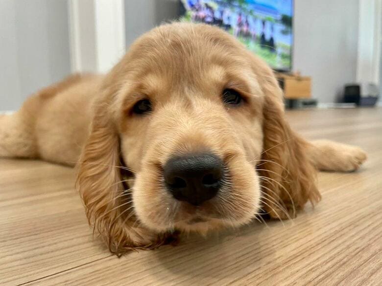 提供：関口和也さん