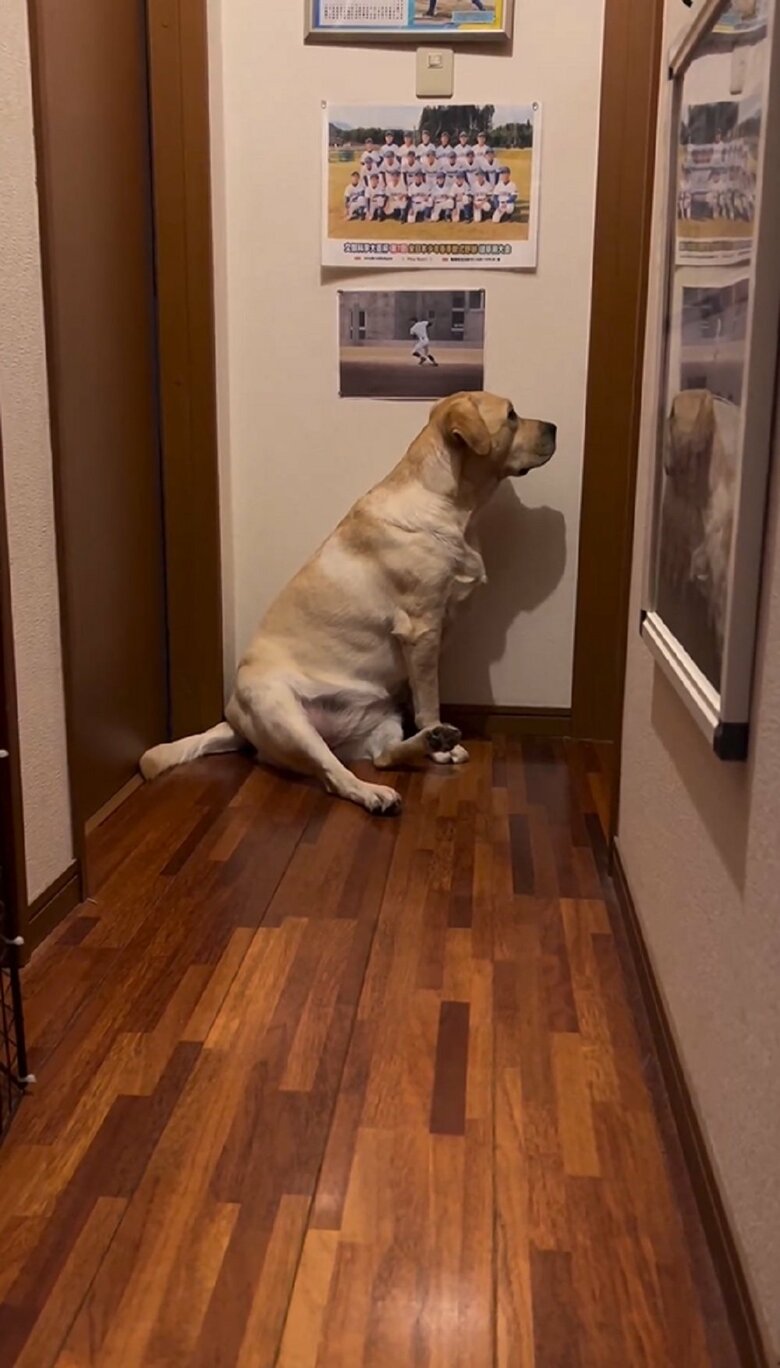 そして部屋の中の反応を伺っているのか、扉を真剣に見つめる