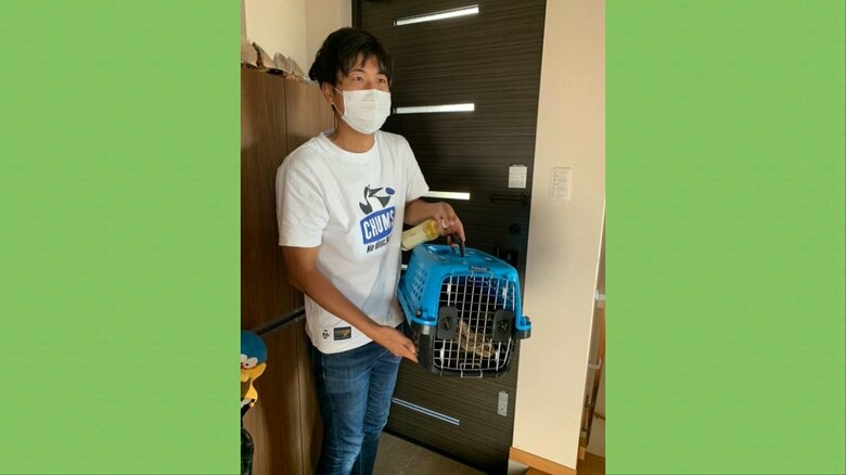 ディアナを連れて帰宅　先住ネコ「だいず」の反応は？