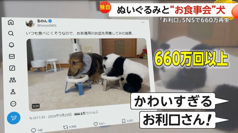 「かわいすぎる」「お利口さん！」などと話題に