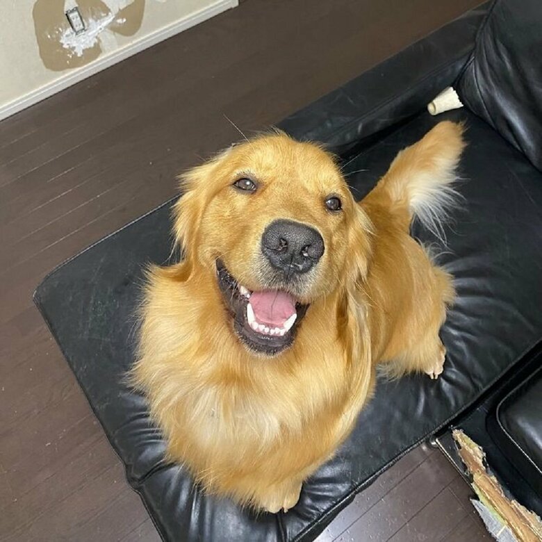 もーぎーさん宅へ来て1年記念日