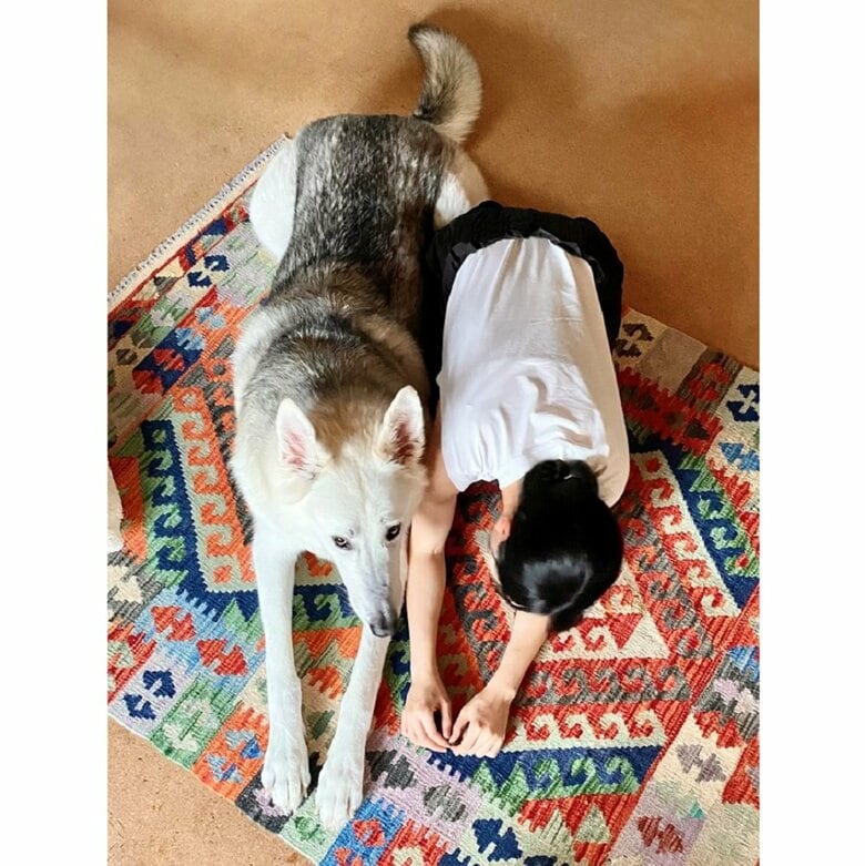 サンくんの体重は約60kg