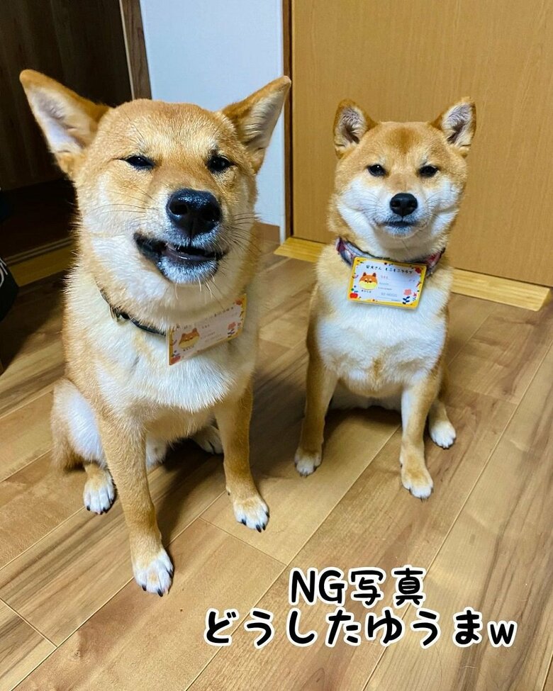 NG写真　ゆうまくんの表情が…