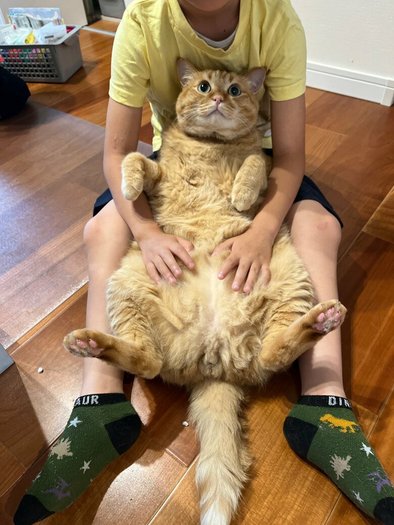 提供：すずつむふうさん