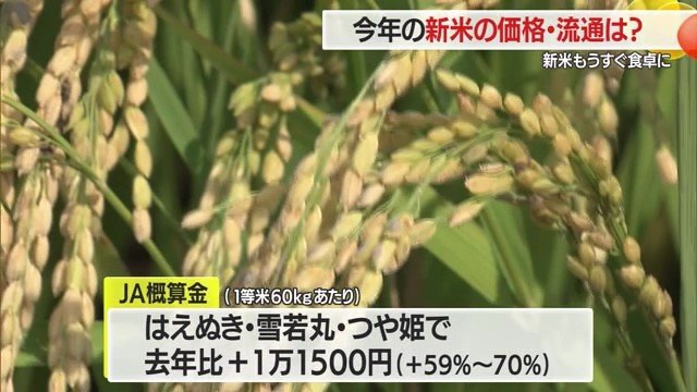 農家への前払い金が1万1500円上がったということは、販売価格も上がることになるだろう