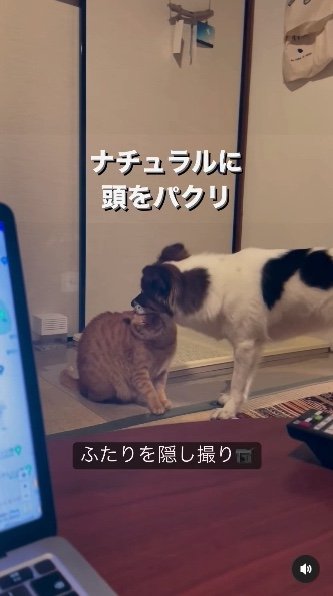 提供：naomiさん