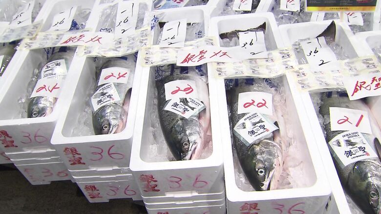 中央卸売市場に並んだ秋サケ