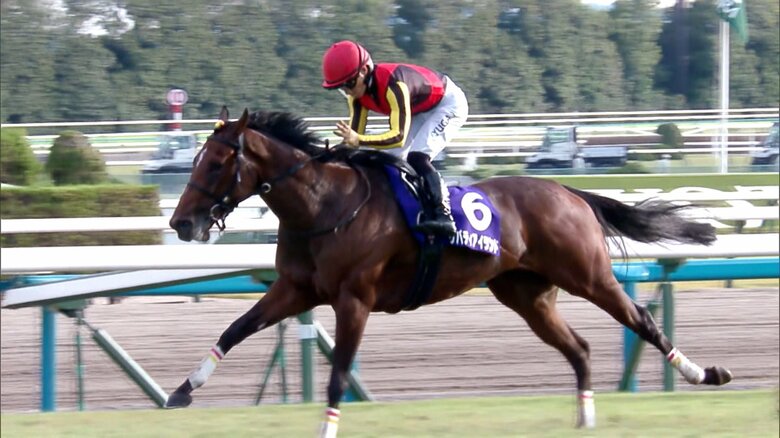 2023年の秋華賞で3冠を達成したリバティアイランド