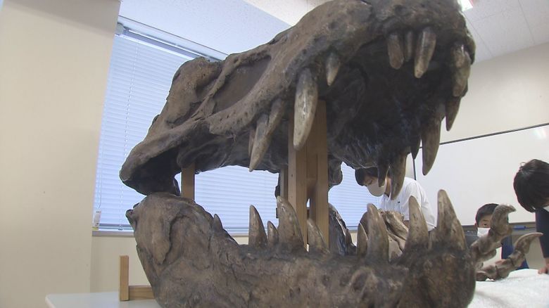 “恐竜王国”誕生へ …世界の研究者が注目の「化石の宝庫」 太古のロマンで街づくり【長崎発】