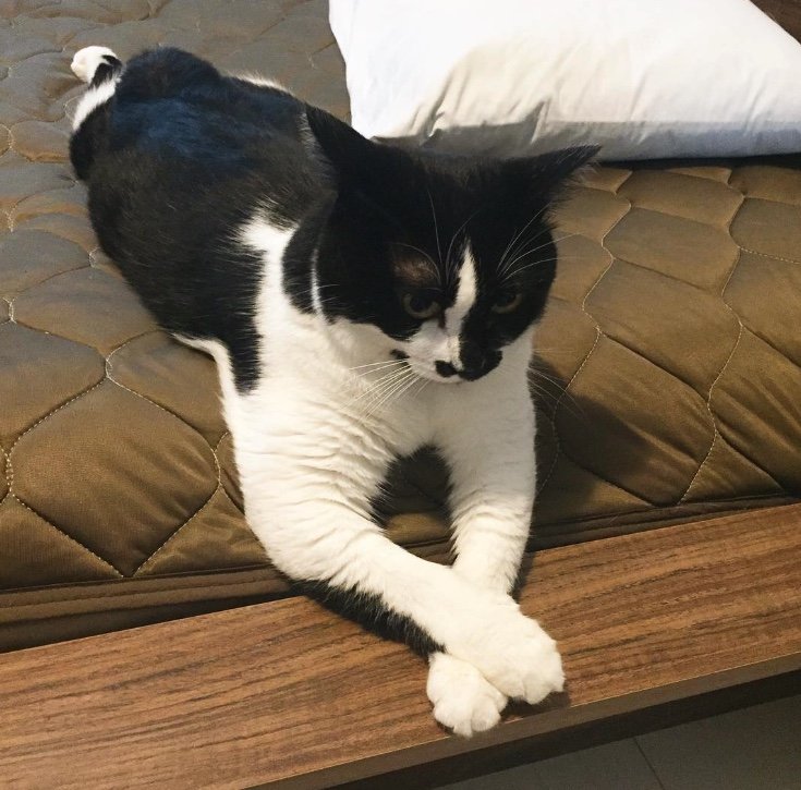 提供：卵山玉子先生