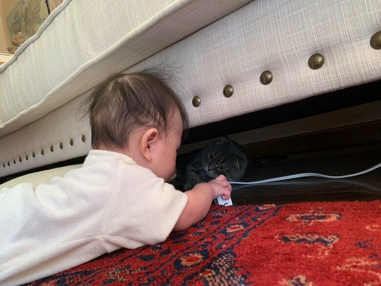 暗闇からも見守っていた