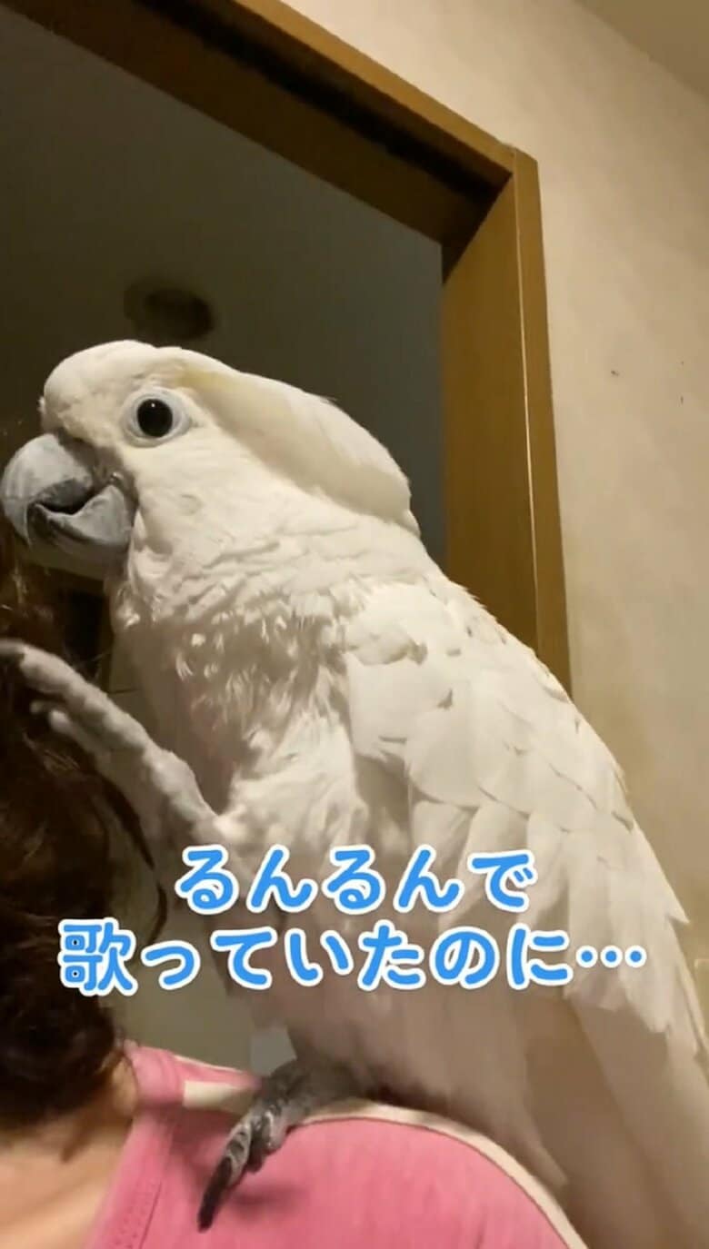 ステップを踏んでいる