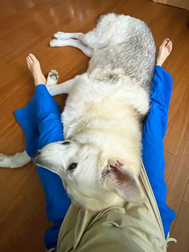 足の間でダラダラ