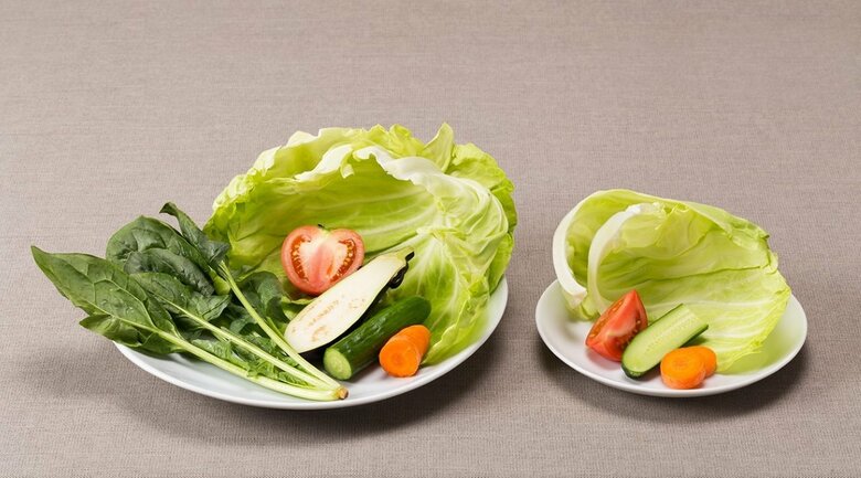 （左）1日の目標量350g　（右）1食あたりの目標量120g