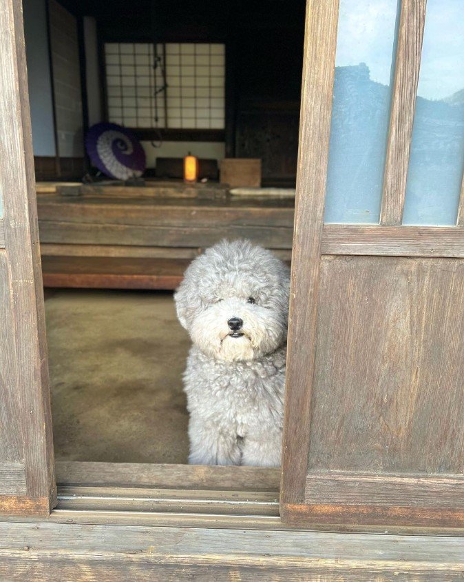 提供：レノン&れあるさん