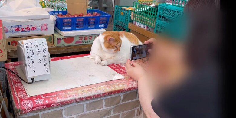 広報活動中のめい店長
